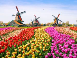 Feeling All My Feelings Book Amazon Netherlands