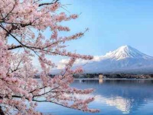 Picture Books about feelings Japan